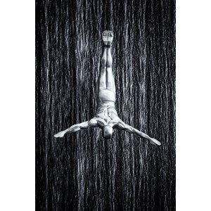 Fotografie fine diving, Martin Fleckenstein, 26.7 × 40 cm