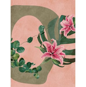 Ilustrace Leaves More, Ana Rut Bre, 30 × 40 cm
