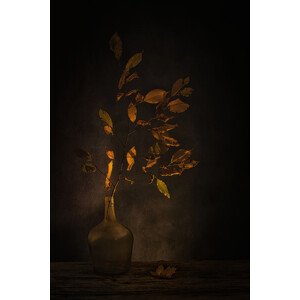 Fotografie Ephemeral Beauty, Saskia Dingemans, 26.7 × 40 cm