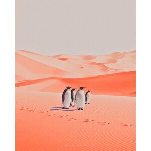 Ilustrace Warm walk, spacerocket art, 30 × 40 cm