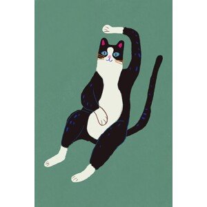 Ilustrace Black and white cat, Little Dean, 26.7 × 40 cm