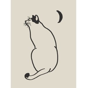 Ilustrace Line Art Cat Drawing, Little Dean, 30 × 40 cm
