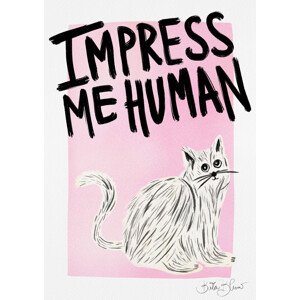 Ilustrace Cat Owner - Impress Me Human, Baroo Bloom, 30 × 40 cm