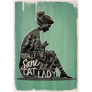 Ilustrace Totally Sane Cat Lady, Andreas Magnusson, 30 × 40 cm
