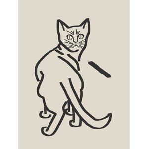 Ilustrace Line Art Cat Drawing 5, Little Dean, 30 × 40 cm