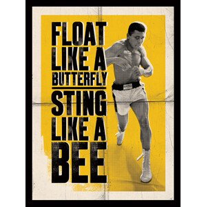 Obraz na plátně Muhammad Ali - Float Like a Butterfly, 2 - 60×80 cm
