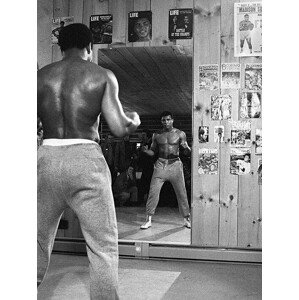 Obraz na plátně Muhammad Ali - Mirror, 2 - 60×80 cm