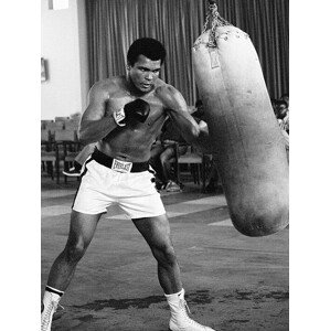 Obraz na plátně Muhammad Ali - Punch Bag, 2 - 60×80 cm