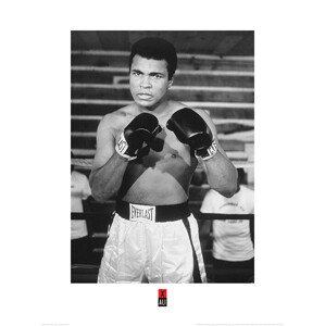 Umělecký tisk Muhammad Ali - Pose, 60 × 80 cm