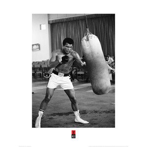Umělecký tisk Muhammad Ali - Punch Bag, 60 × 80 cm