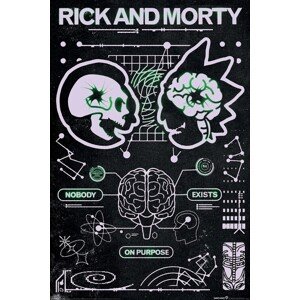 Plakát, Obraz - Rick and Morty - Classickal, 61 × 91.5 cm