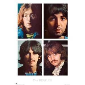 Plakát, Obraz - The Beatles - White Album, 61 × 91.5 cm