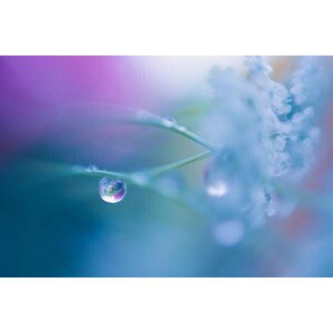 Fotografie Water drop in blue, YuriF, 40 × 26.7 cm