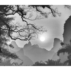 Fotografie withered tree and mountain, c1a1p1c1o1m1, 40 × 34.3 cm