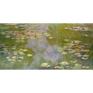Obrazová reprodukce Water Lilies (1919), Claude Monet, 40 × 20 cm