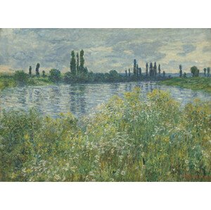 Obrazová reprodukce Banks of the Seine, Vétheuil (1880), Claude Monet, 40 × 30 cm