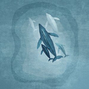 Ilustrace Whales family, Emel Tunaboylu, 40 × 40 cm