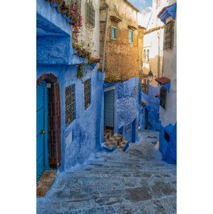 Fotografie Chefchaouen , Morocco, Silvia Zecchin, 26.7 × 40 cm