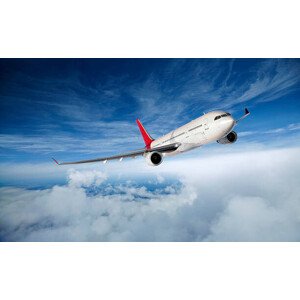 Ilustrace Airplane in Flight, Aaron Foster, 40 × 24.5 cm