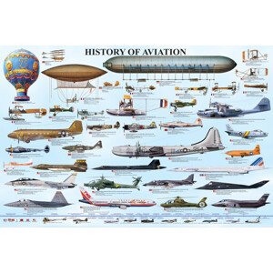 Plakát, Obraz - History of aviation, 91.5 × 61 cm