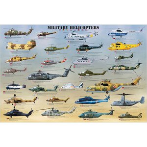 Plakát, Obraz - Military helicopters, 91.5 × 61 cm