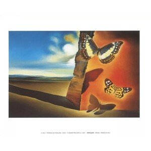 Umělecký tisk Krajina s motýly, 1956, Salvador Dalí, 30 × 24 cm