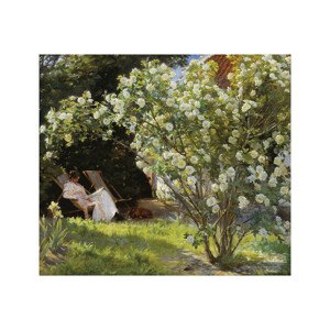 Umělecký tisk Marie v zahradě (Růže), Peder Severin Kroyer, 70 × 50 cm