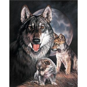 Plechová cedule GRAHAM - Wolf Experience, 31.5 × 40 cm