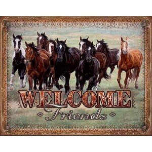 Plechová cedule WELCOME - HORSES - Friends, 40 × 31.5 cm