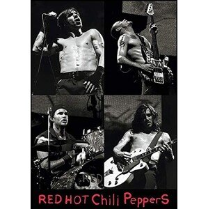 Plakát, Obraz - Red hot chili peppers Live, 61 × 91.5 cm