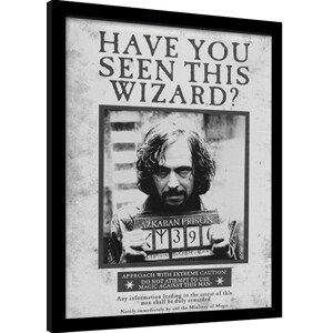 Obraz na zeď - Harry Potter - Sirius Wanted, 30 × 40 cm