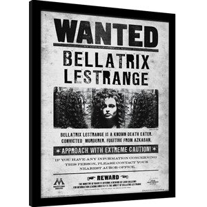 Obraz na zeď - Harry Potter - Bellatrix Wanted, 30 × 40 cm