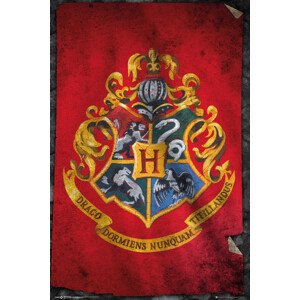Plakát, Obraz - Harry Potter - Hogwarts, 61 × 91.5 cm