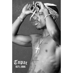 Plakát, Obraz - Tupac - Smoke, 61 × 91.5 cm