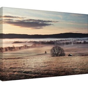 Obraz na plátně Andreas Stridsberg - Misty Morning, 2 - 80×60 cm