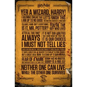 Plakát, Obraz - Harry Potter - Quotes, 61 × 91.5 cm
