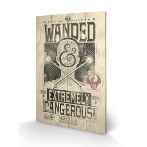 Dřevěný obraz Fantastická zvířata a kde je najít - Extremely Dangerous, 40 × 59 cm