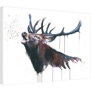 Obraz na plátně Sarah Stokes - Roar, 2 - 80×60 cm