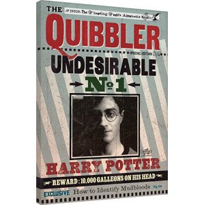 Obraz na plátně Harry Potter - Quibbler, 2 - 60×80 cm
