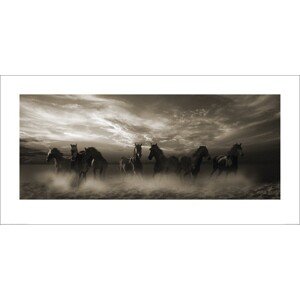 Umělecký tisk Malcolm Sanders - Wild Stampede, 100 × 50 cm