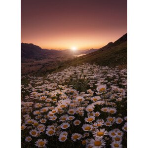 Fotografie Closer to the sun, Sergio AbeVilla, 30 × 40 cm
