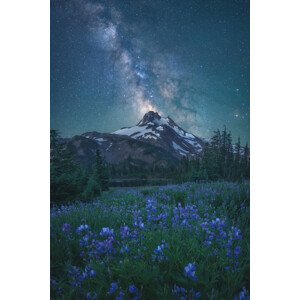 Fotografie Milky Way Above Mt. Jefferson, Steve Schwindt, 26.7 × 40 cm