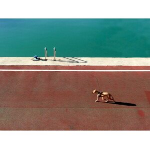 Fotografie 165/15, Paolo Luxardo, 40 × 30 cm