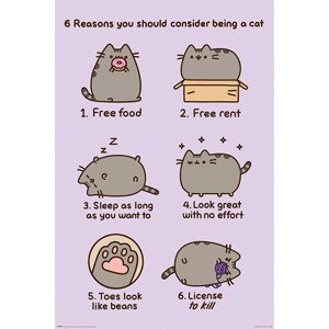 Plakát, Obraz - Pusheen - Reasons to be a Cat, 61 × 91.5 cm