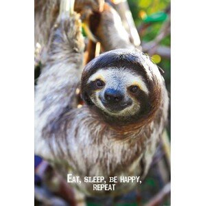 Plakát, Obraz - Smile - Sloth, 61 × 91.5 cm