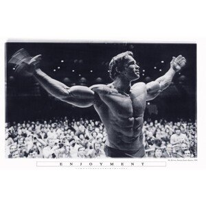 Plakát, Obraz - Arnold Schwarzenegger - Enjoyment, 91.5 × 61 cm