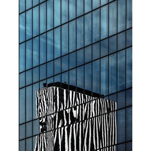 Fotografie the zebra neighbor, Gilbert Claes, 30 × 40 cm