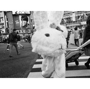 Fotografie Untitled, Tatsuo Suzuki, 40 × 30 cm