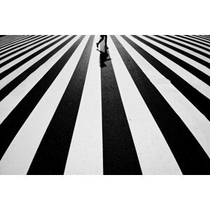 Fotografie Black and white, Kouji	Tomihisa, 40 × 26.7 cm