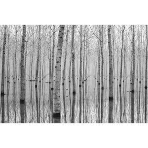 Fotografie Novembre 2014, Aglioni Simone, 40 × 26.7 cm
